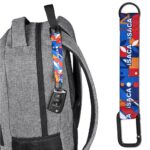 Altitude Straptique Carabiner Keyholder