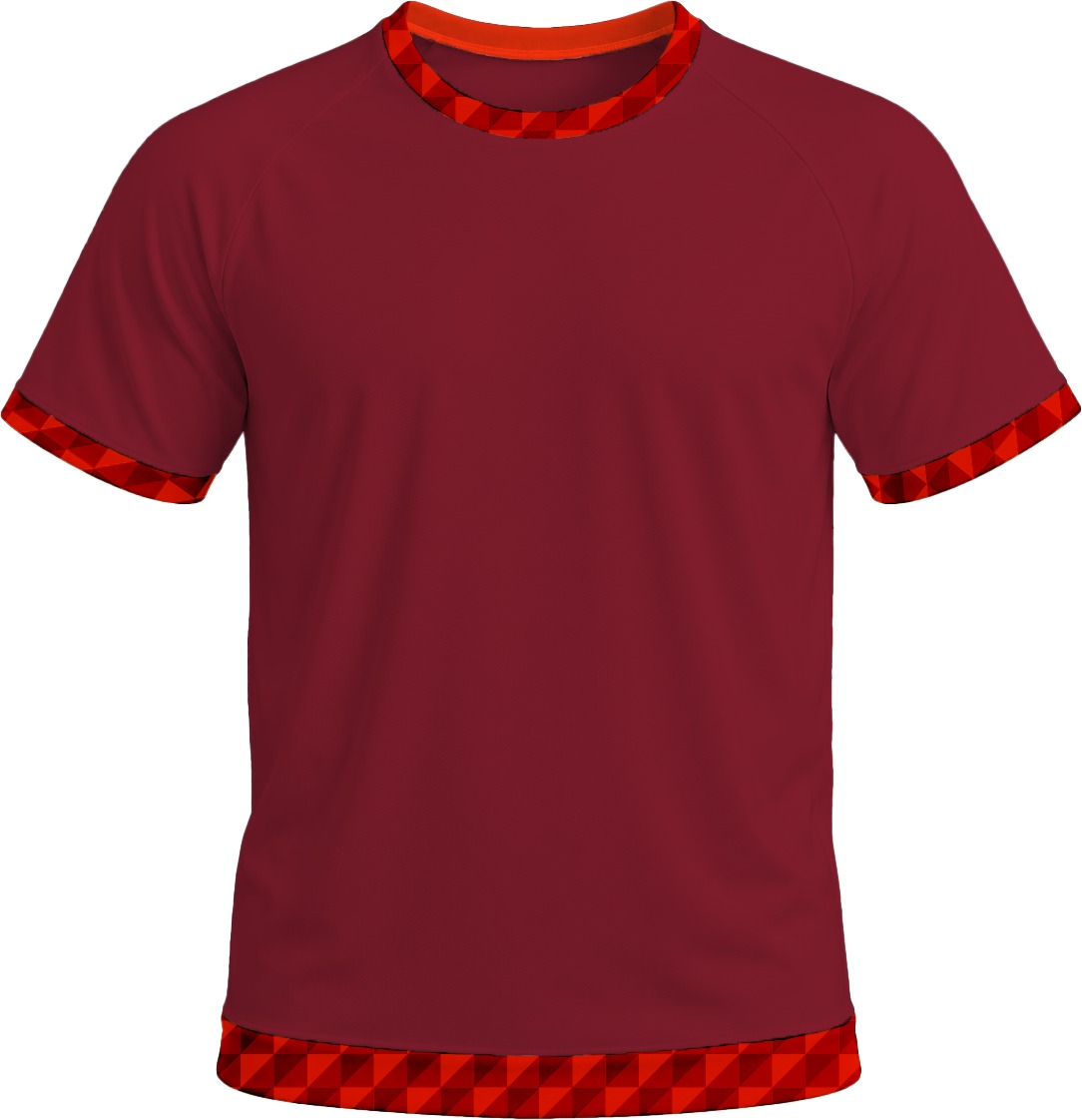 19Ten Ladies Crew Neck T-shirt, Raglan Short Sleeve, Birdseye - Image 15