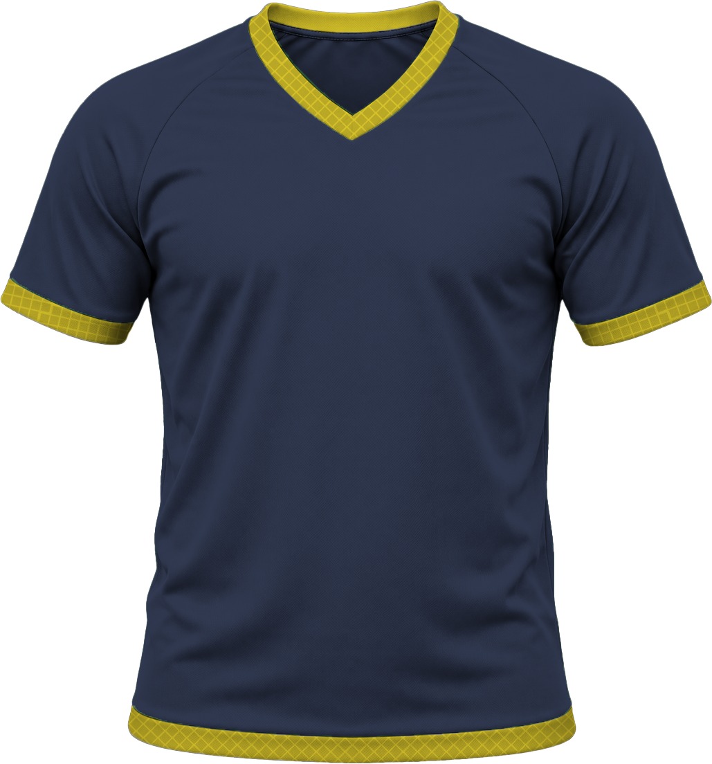 19Ten Ladies V-Neck T-shirt, Raglan Short Sleeve, Birdseye - Image 11