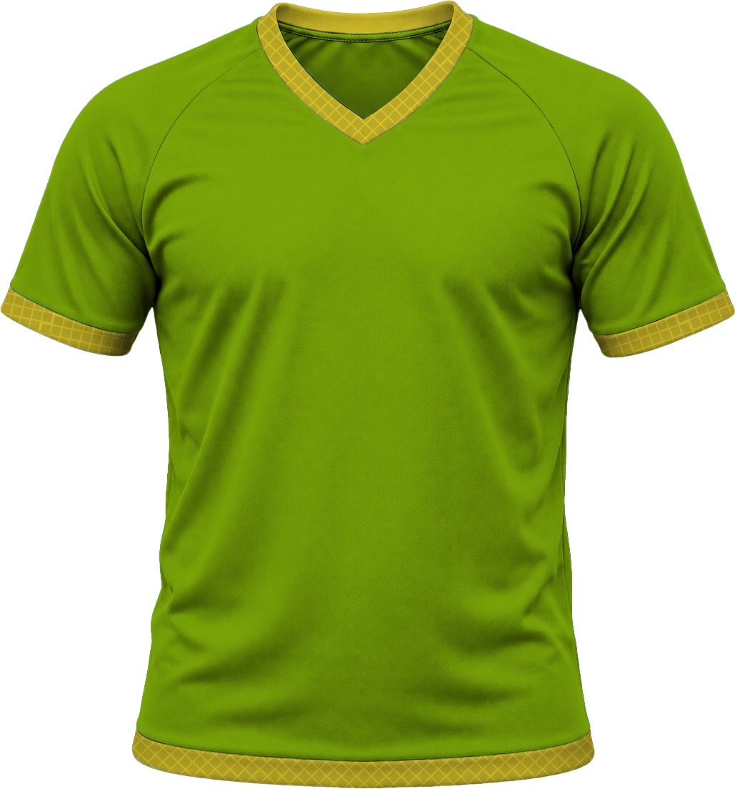 19Ten Ladies V-Neck T-shirt, Raglan Short Sleeve, Birdseye - Image 12