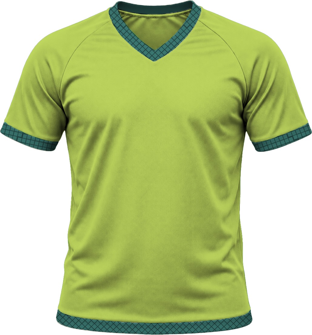 19Ten Ladies V-Neck T-shirt, Raglan Short Sleeve, Birdseye - Image 13