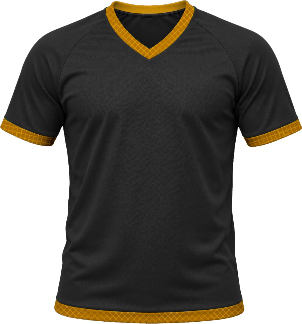 19Ten Ladies V-Neck T-shirt, Raglan Short Sleeve, Birdseye - Image 2