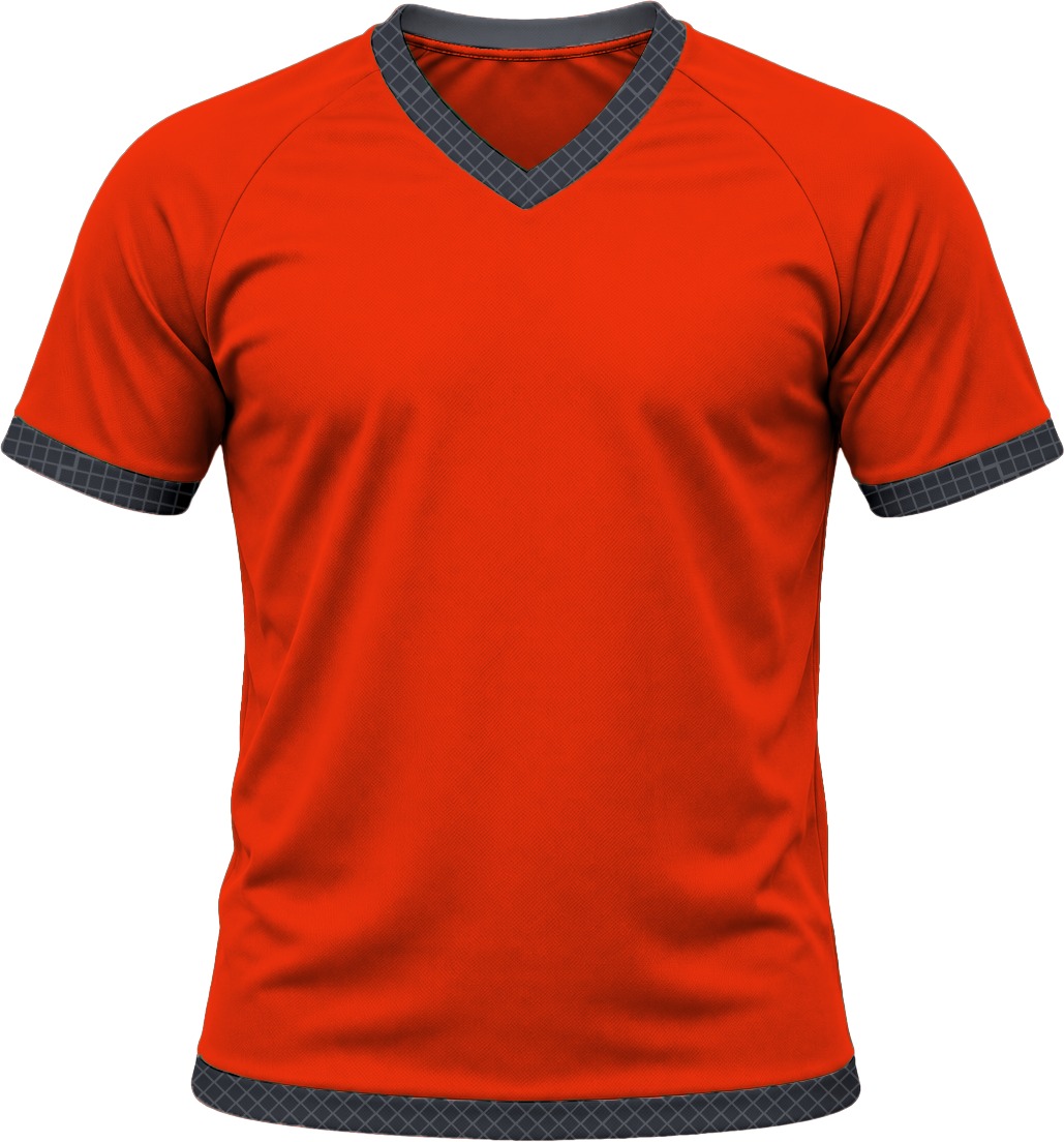 19Ten Ladies V-Neck T-shirt, Raglan Short Sleeve, Birdseye - Image 5