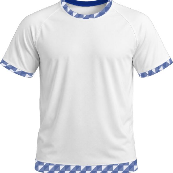 19Ten Unisex Crew Neck T-shirt, Raglan Short Sleeve, Birdseye