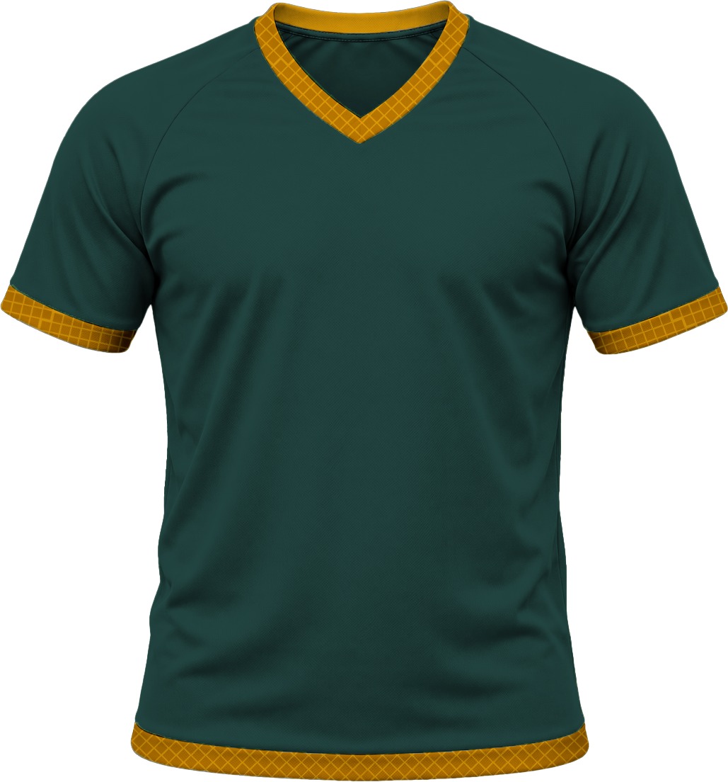 19Ten Unisex V-Neck T-shirt, Raglan Short Sleeve, Birdseye - Image 4