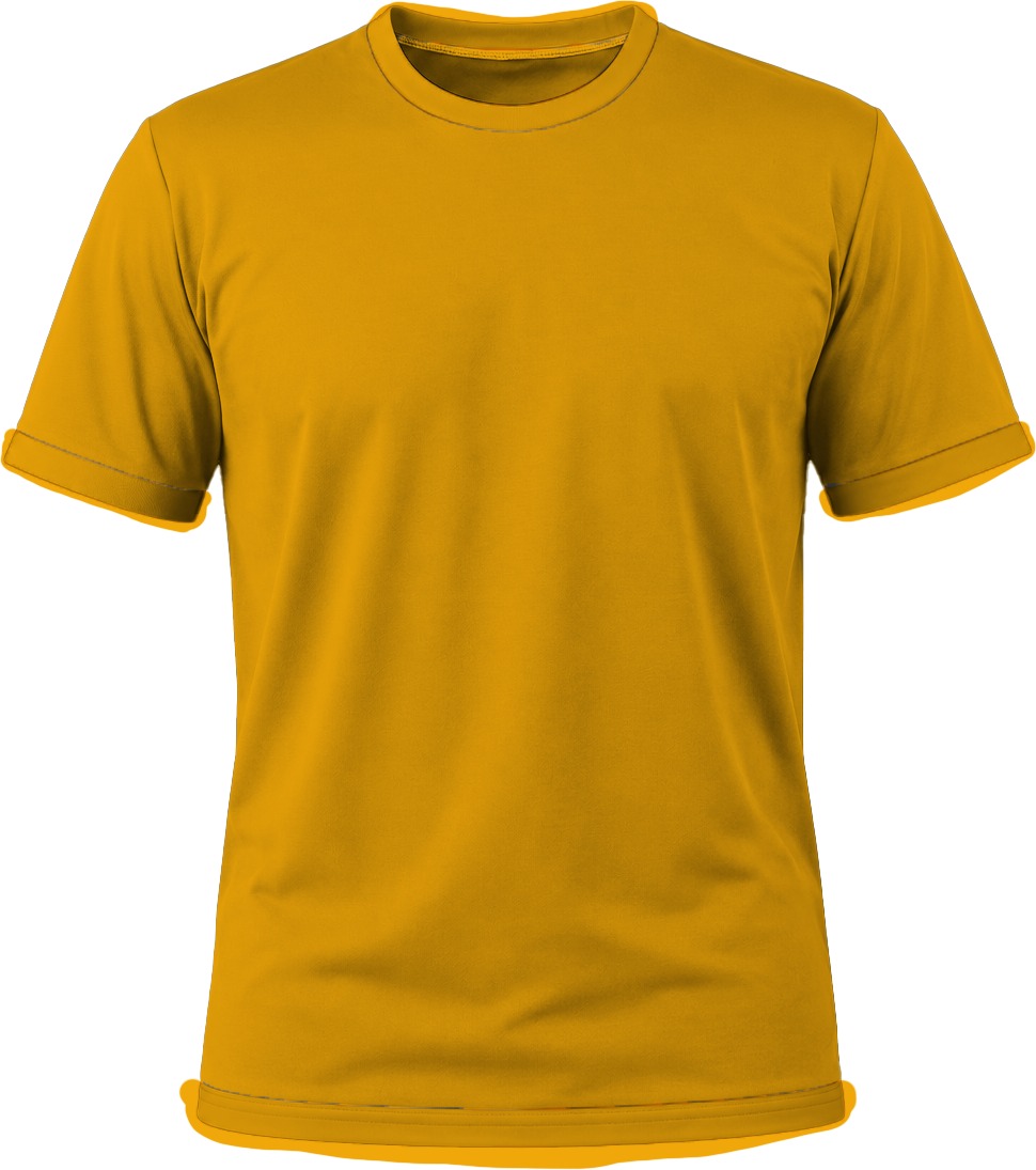 +27 Ladies Crew Neck T-shirt, Fitted Short Sleeve, Birdseye - Image 14