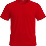 +27 Ladies Crew Neck T-shirt, Raglan Short Sleeve, Birdseye