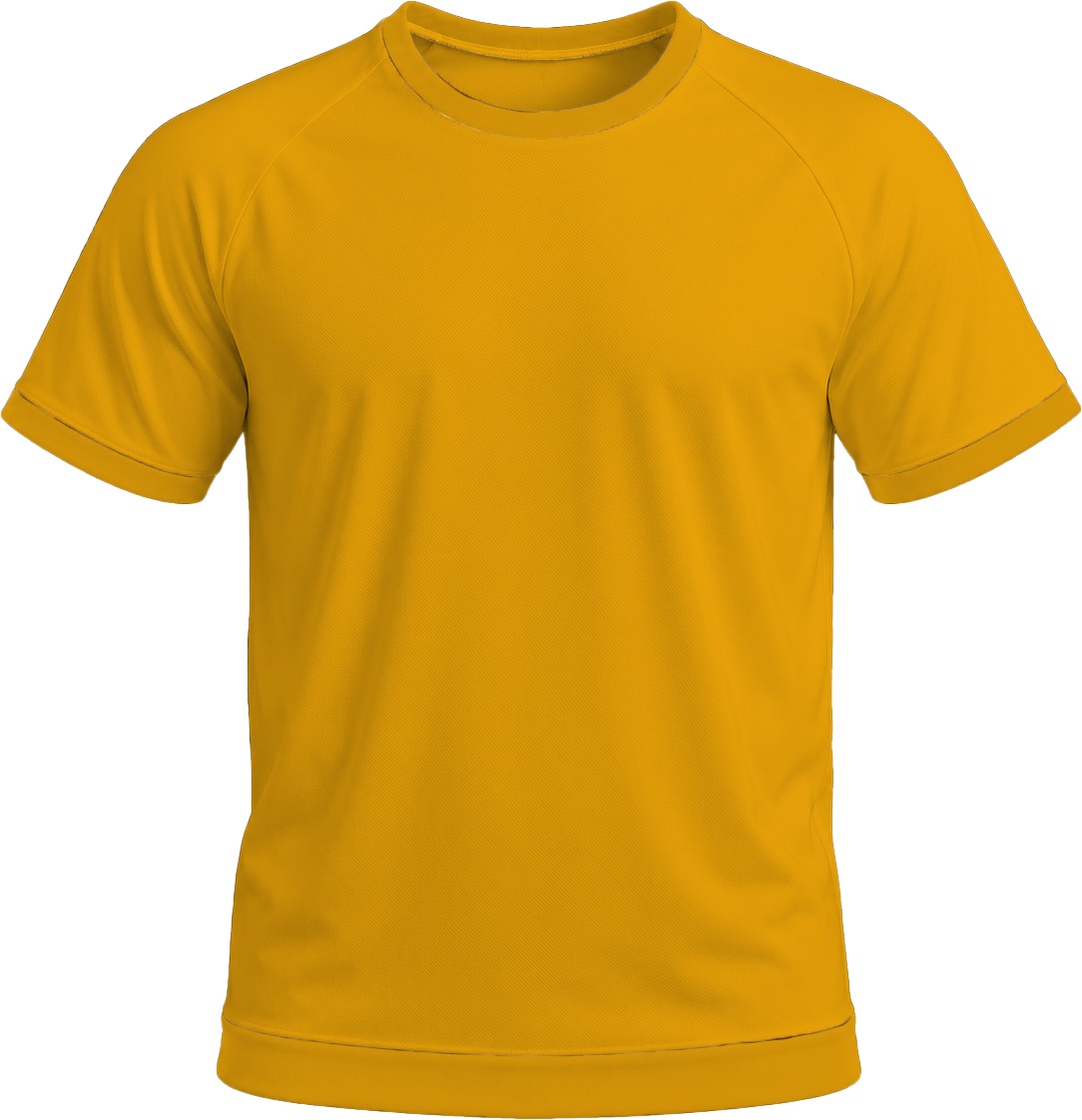 +27 Ladies Crew Neck T-shirt, Raglan Short Sleeve, Birdseye - Image 16