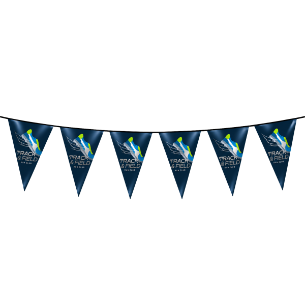 B.YOND LITHO Pennants Triangular (Single Sided Silver) 200 x 300mm