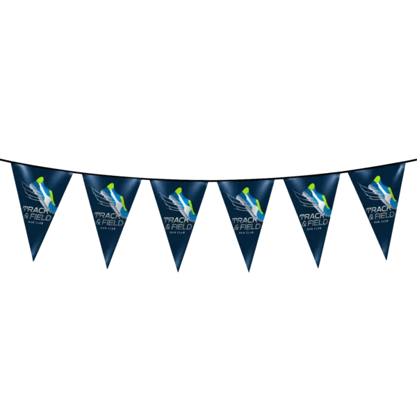 B.YOND LITHO Pennants Triangular (Single Sided Silver) 200 x 300mm