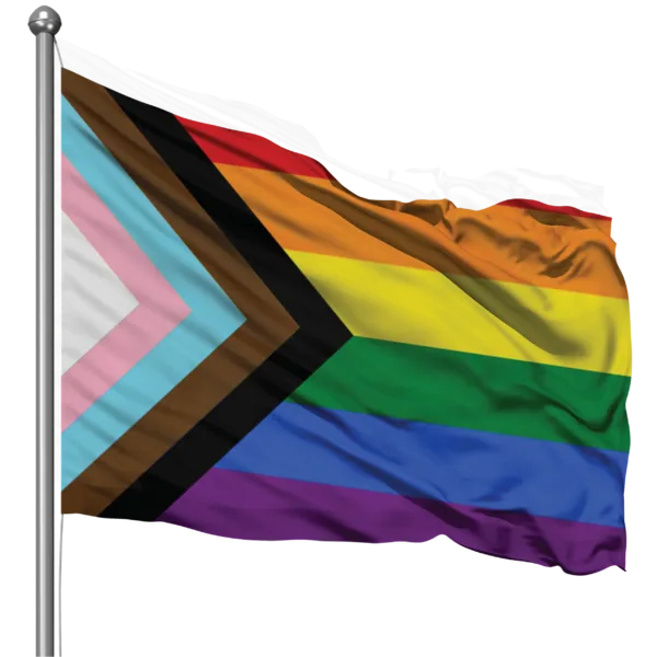 PROGRESS PRIDE FLAG 180 x 120cm (Ultrasheen)