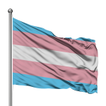 TRANSGENDER FLAG 180 x 120cm (Ultrasheen)