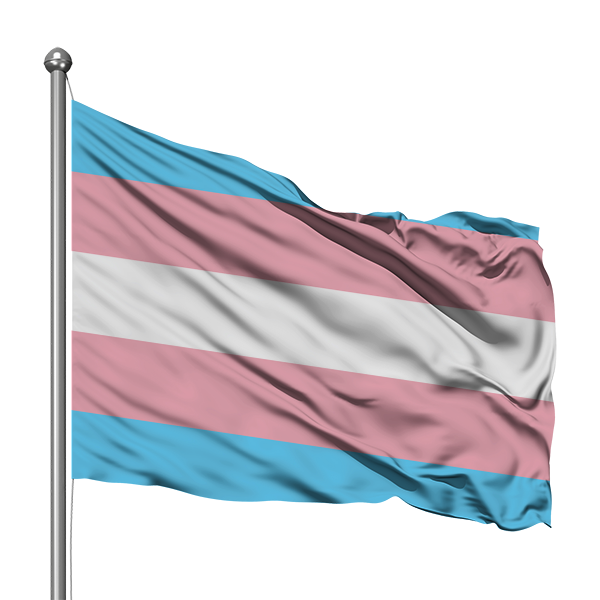 TRANSGENDER FLAG 180 x 120cm (Ultrasheen)