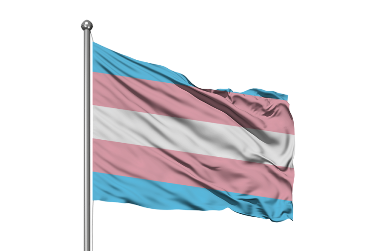 TRANSGENDER FLAG 180 x 120cm (Ultrasheen)