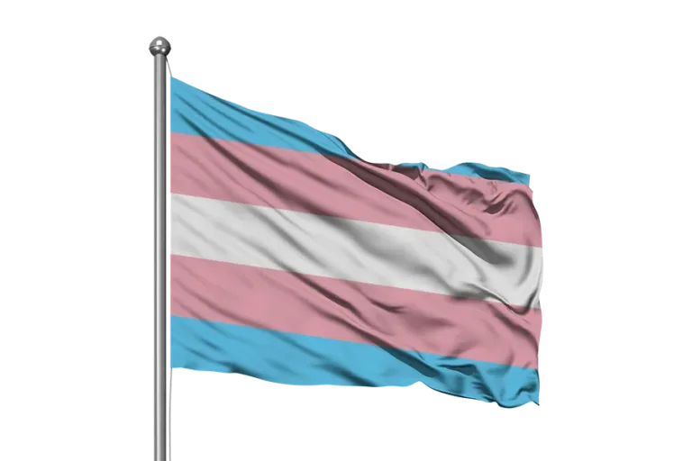 TRANSGENDER FLAG 180 x 120cm (Ultrasheen)
