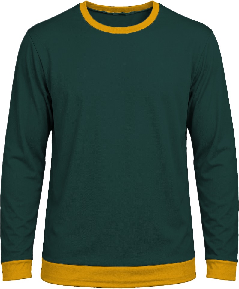 Ringer Ladies Crew Neck T-shirt, Fitted Long Sleeve, Birdseye