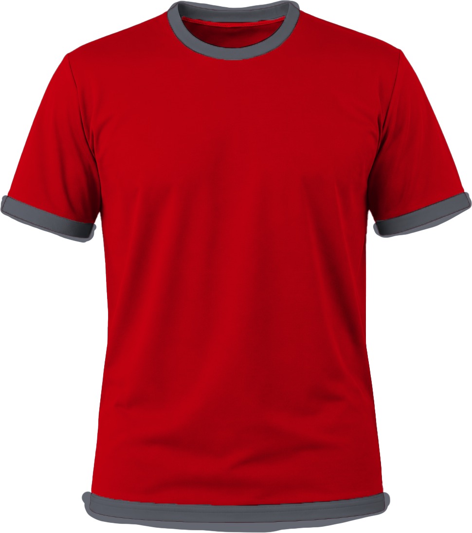 Ringer Ladies Crew Neck T-shirt, Fitted Short Sleeve, Birdseye