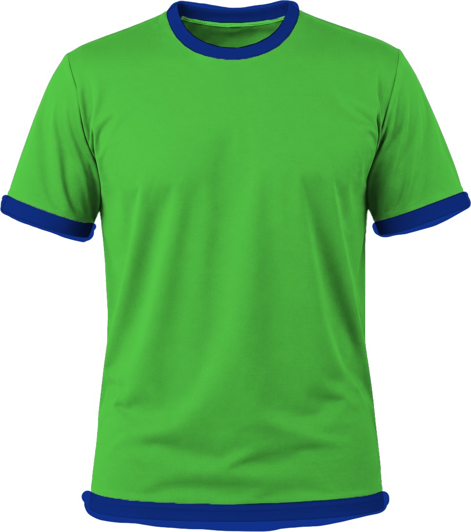 Ringer Ladies Crew Neck T-shirt, Fitted Short Sleeve, Birdseye - Image 15
