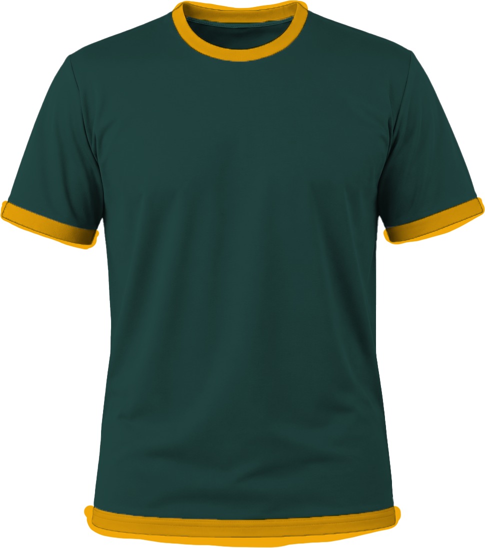 Ringer Ladies Crew Neck T-shirt, Fitted Short Sleeve, Birdseye - Image 8