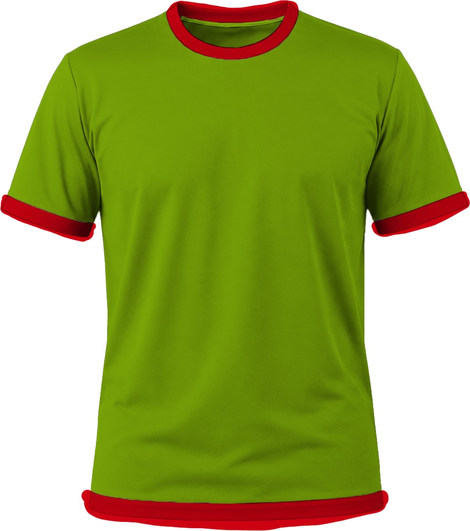Ringer Ladies Crew Neck T-shirt, Fitted Short Sleeve, Birdseye - Image 9