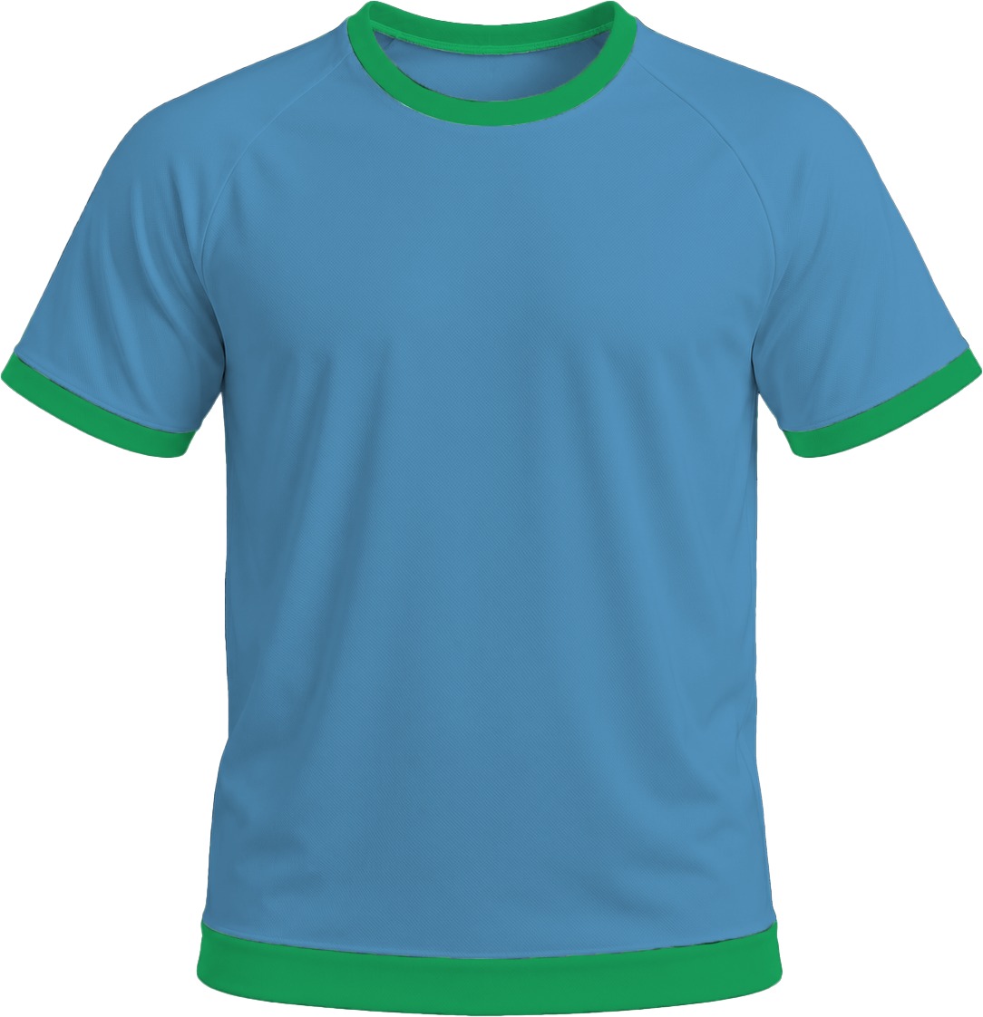 Ringer Ladies Crew Neck T-shirt, Raglan Short Sleeve, Birdseye - Image 11