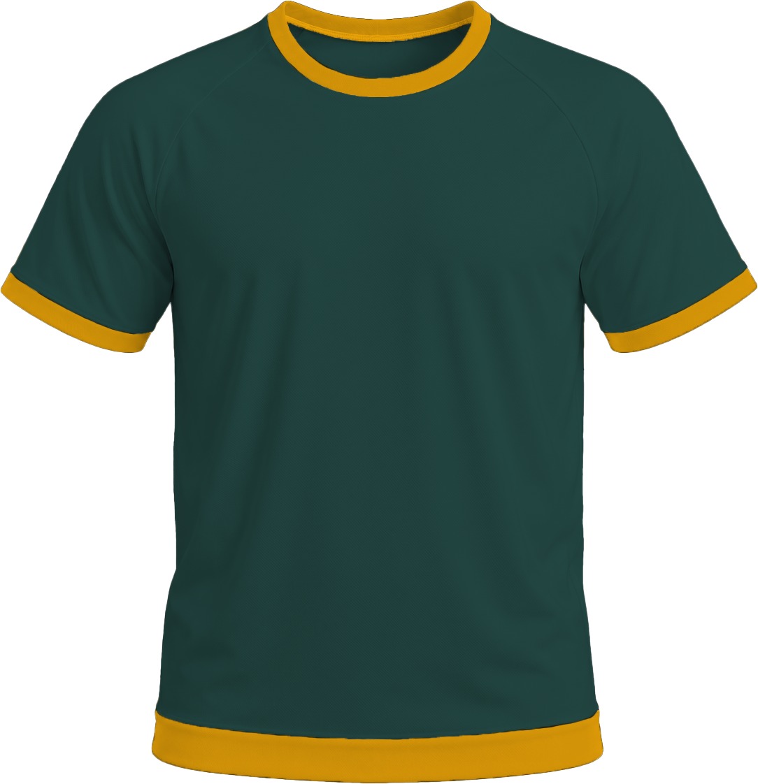 Ringer Ladies Crew Neck T-shirt, Raglan Short Sleeve, Birdseye - Image 17