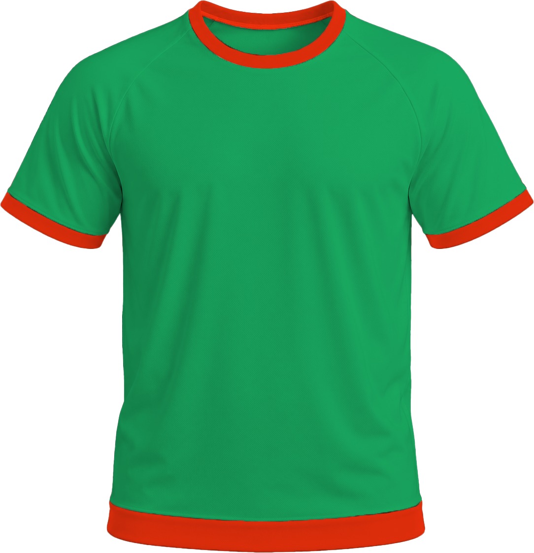 Ringer Ladies Crew Neck T-shirt, Raglan Short Sleeve, Birdseye - Image 5