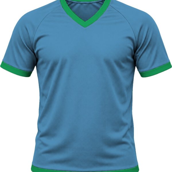 Ringer Ladies V-Neck T-shirt, Raglan Short Sleeve, Birdseye