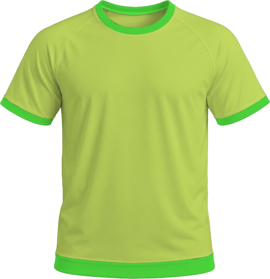 Ringer Unisex Crew Neck T-shirt, Raglan Short Sleeve, Birdseye - Image 4