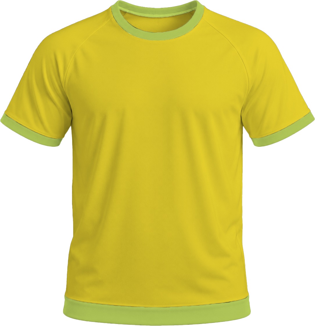 Ringer Unisex Crew Neck T-shirt, Raglan Short Sleeve, Birdseye - Image 5