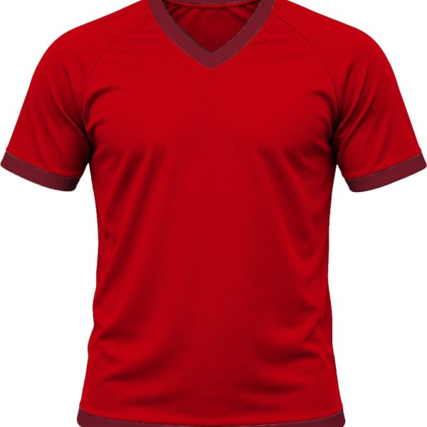 Ringer Unisex V-Neck T-shirt, Raglan Short Sleeve, Birdseye