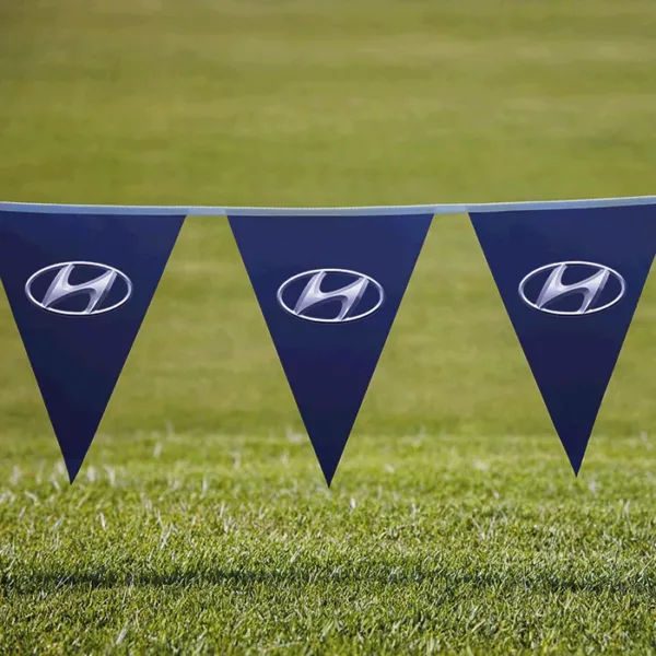 Pennants PVC Digital Single Sided Triangle