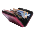 Rainol Card Holder