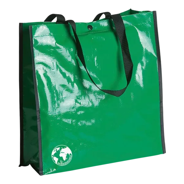 Recycle Bag