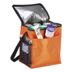 12 Can Cooler with 2 Exterior Pockets 70D PEVA Lining