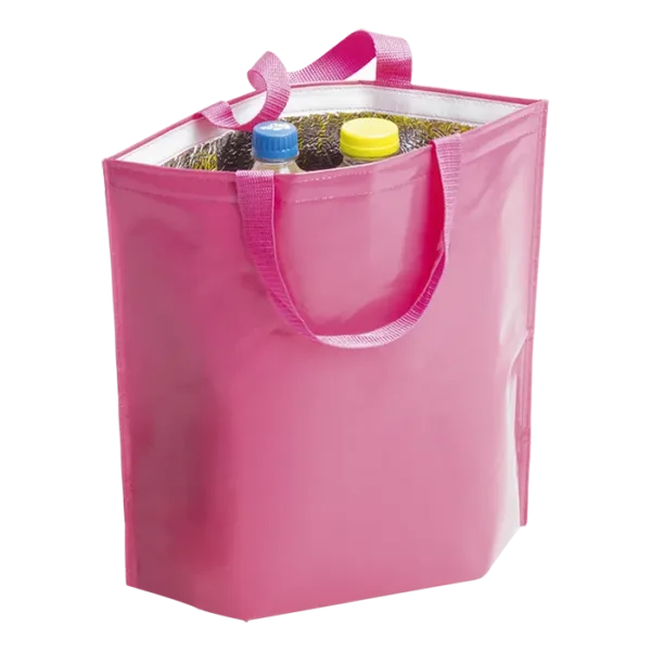 Hobart Cooler Bag