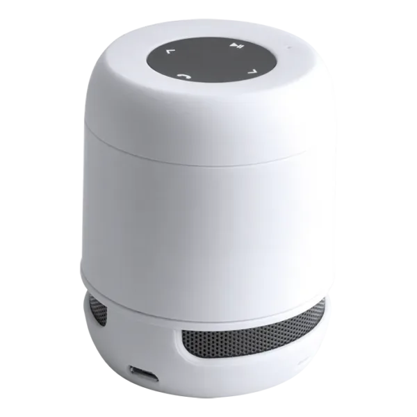Braiss Bluetooth Speaker