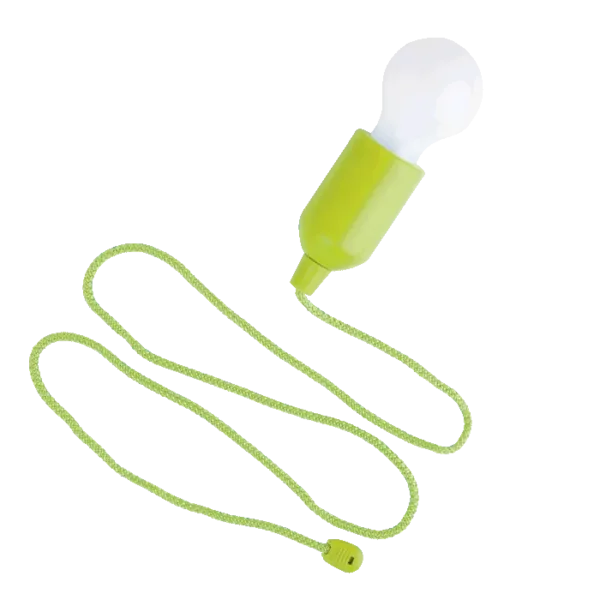 Light Bulb Shaped LED Light