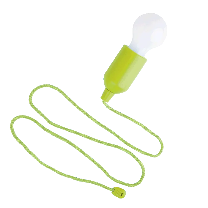 Light Bulb Shaped LED Light