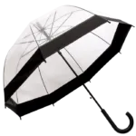 Dome Shaped Clear Umbrella