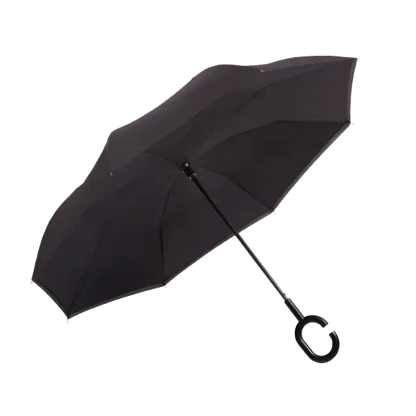 Reversible Umbrella