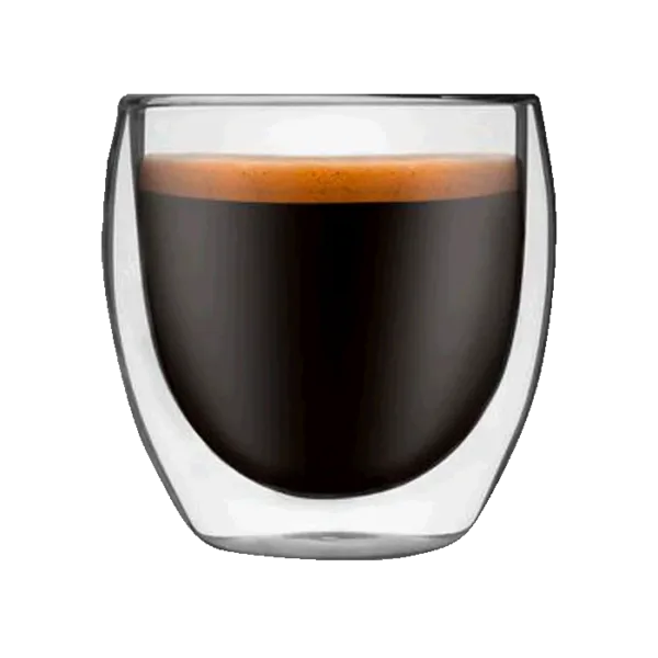 Elegant Double Wall Glass Mug in Gift Box