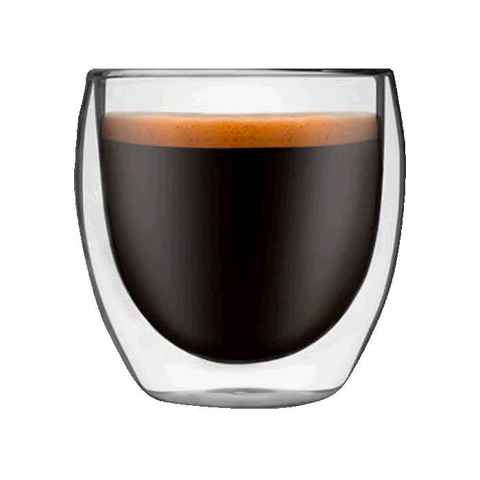 Elegant Double Wall Glass Mug in Gift Box