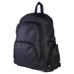 Cruz Laptop Backpack
