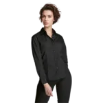 Brushed Cotton Twill Blouse Long Sleeve Ladies