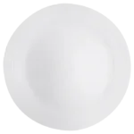 Arctic White Fish Plate