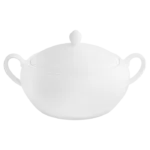 Arctic White Vegetable Dish